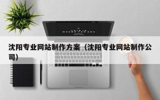 岑溪沈阳专业网站制作方案（沈阳专业网站制作公司）